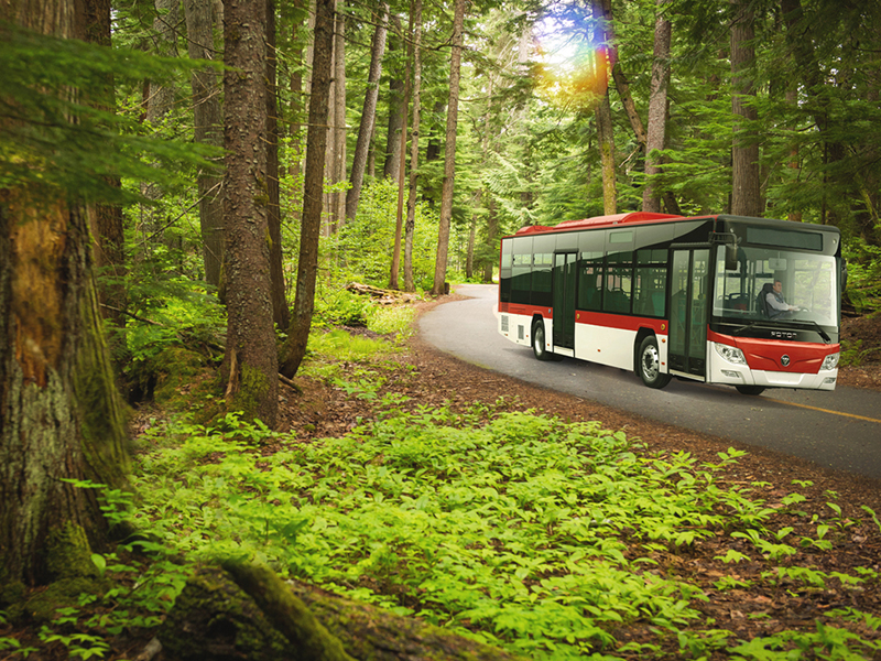 Un arbol por cada bus eléctrico